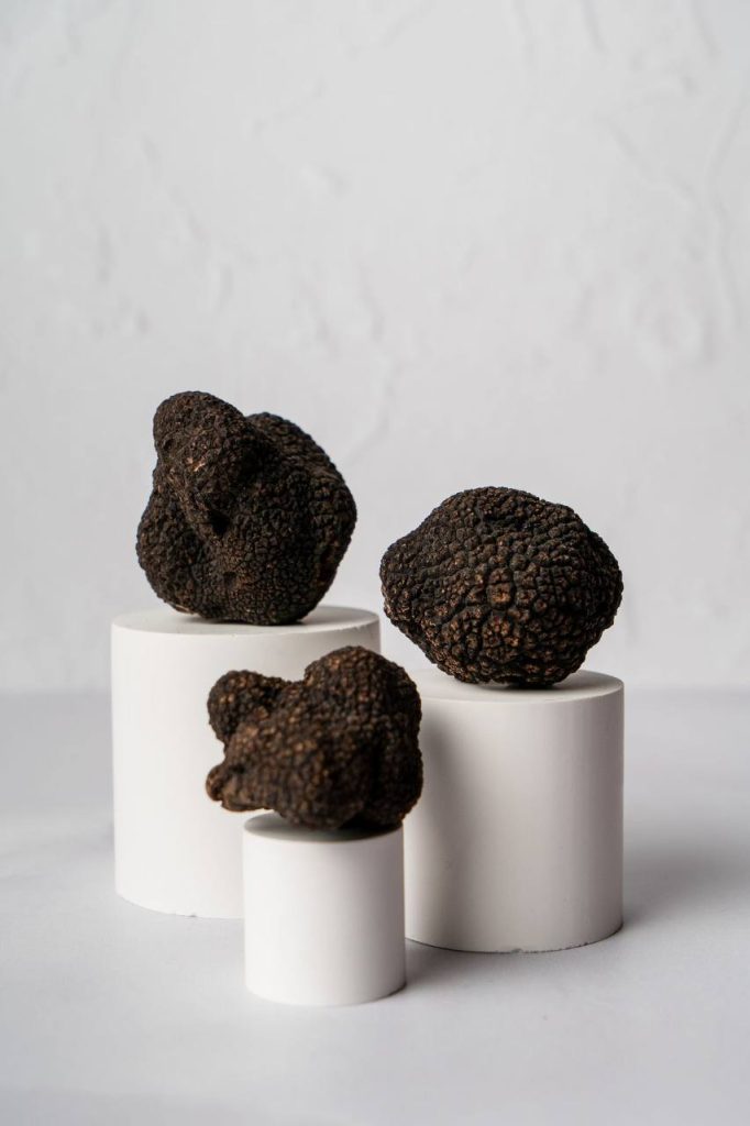 Freshly harvested Tuber melanosporum black truffle on natural soil background, illustrating premium provenance