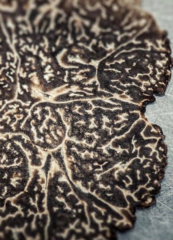 Freshly harvested Tuber melanosporum black truffle on natural soil background, illustrating premium provenance