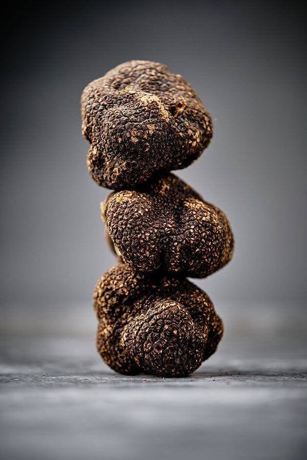 How to Authenticate Premium Truffles: The Science of Provenance, Fraud Detection, and Ethical Sourcing
