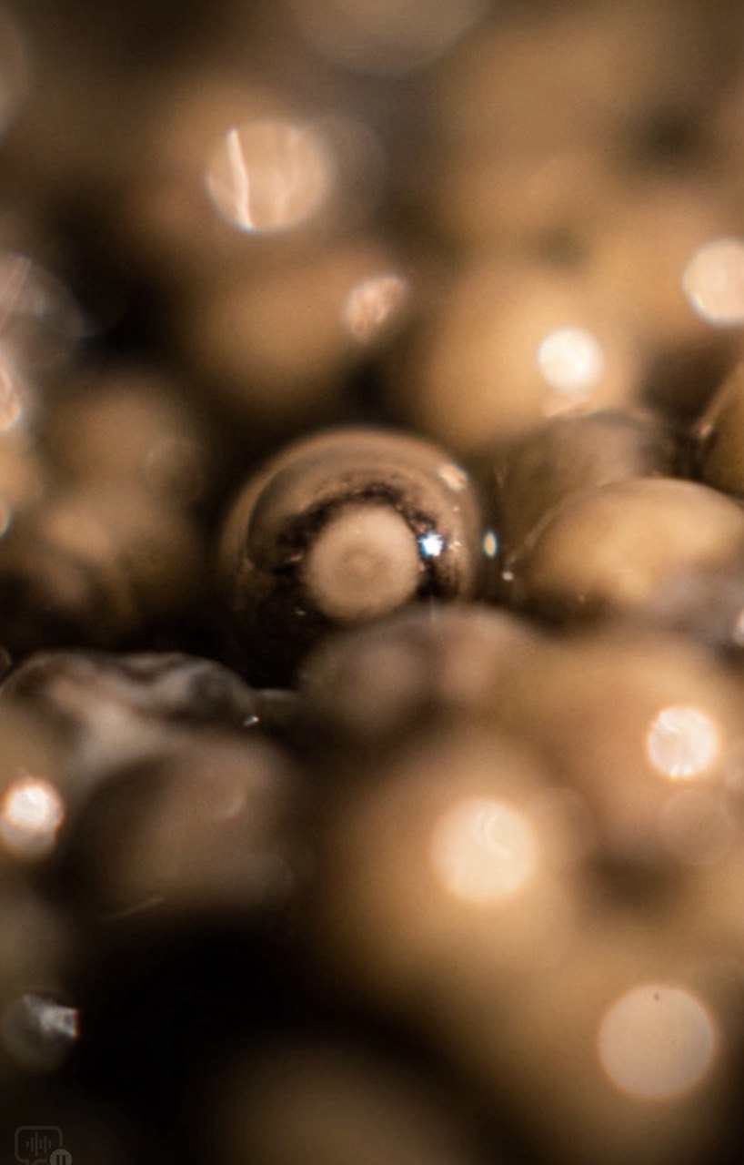 The Conscious Connoisseur's Guide to Choosing Sustainable Caviar in 2026
