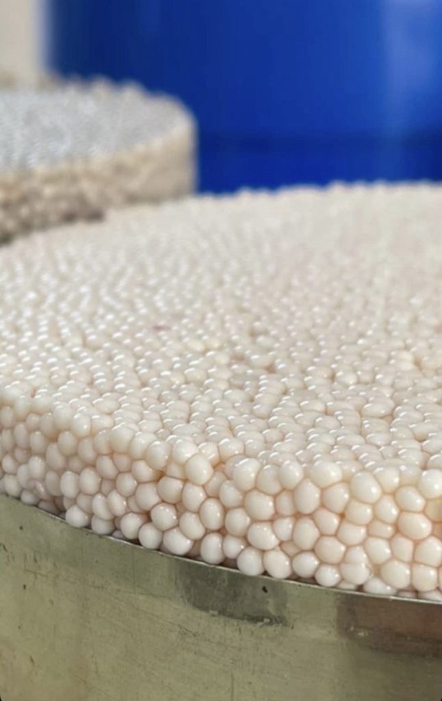 Premium sustainable Osetra caviar in a mother-of-pearl spoon, ethically farmed using closed-loop recirculating aquaculture systems