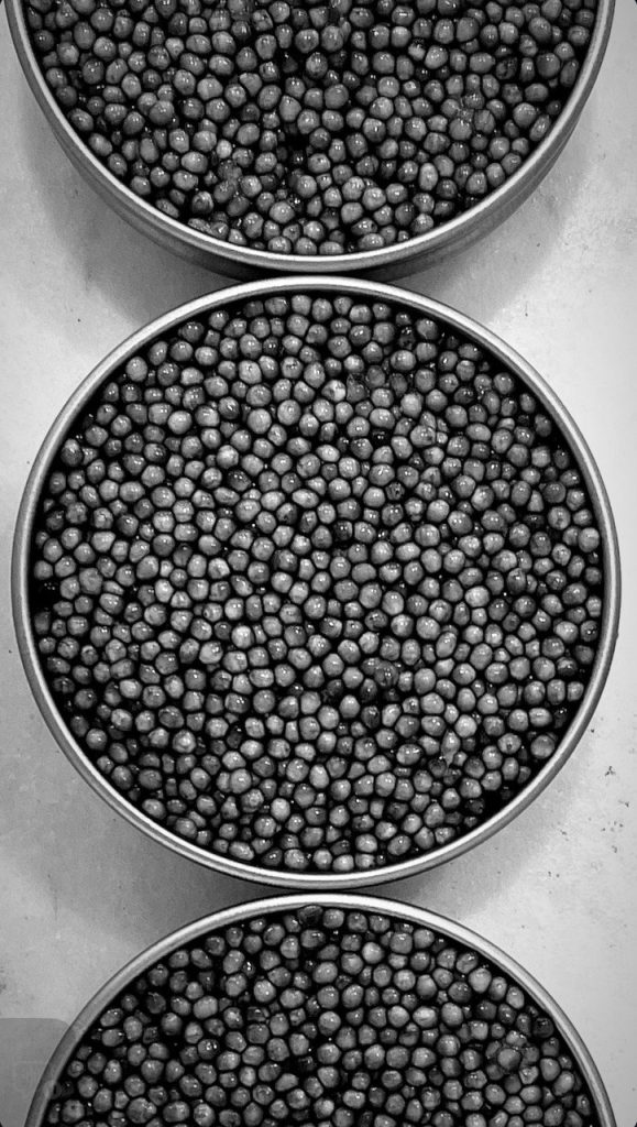 Premium sustainable Osetra caviar in a mother-of-pearl spoon, ethically farmed using closed-loop recirculating aquaculture systems