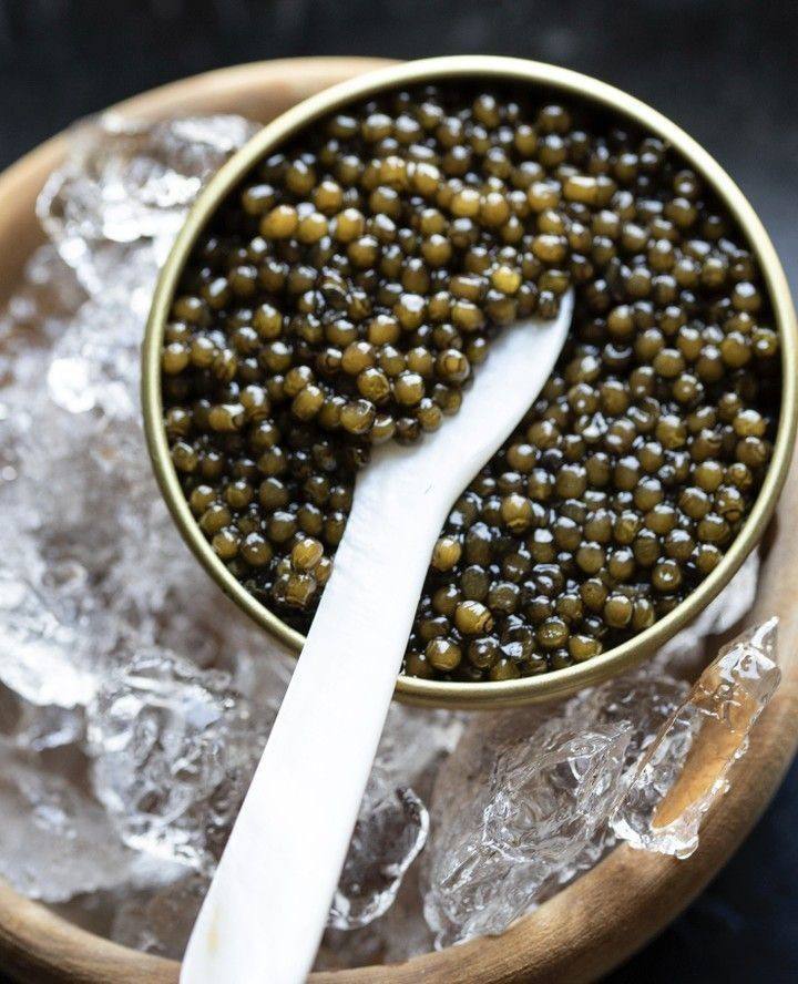 Caviar