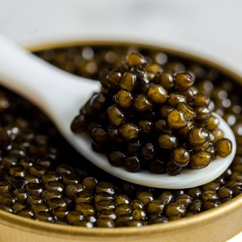 Caviar Serving Caviar Serving